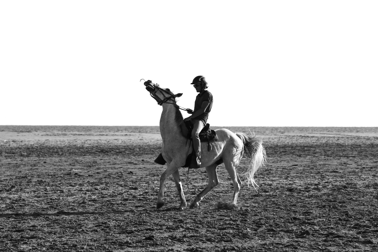 Black-and-white photograph of a rider on a horse in an open landscape